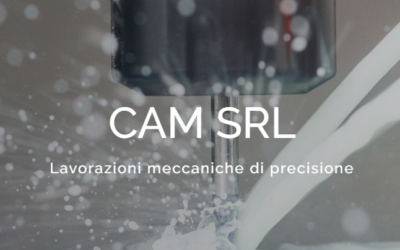 CAM – Alberto Scanziani